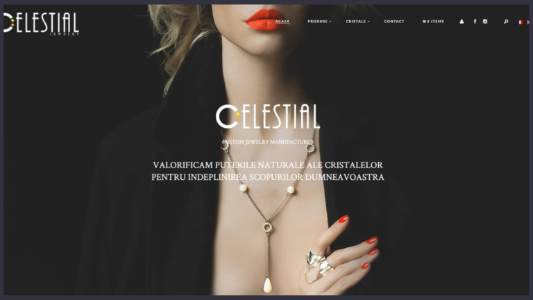 WDA Portofoliu galerie imagini (13)